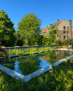 Piscine naturelle paysagère dans un grand jardin résidentiel avec végétation et terrasse contemporaine.